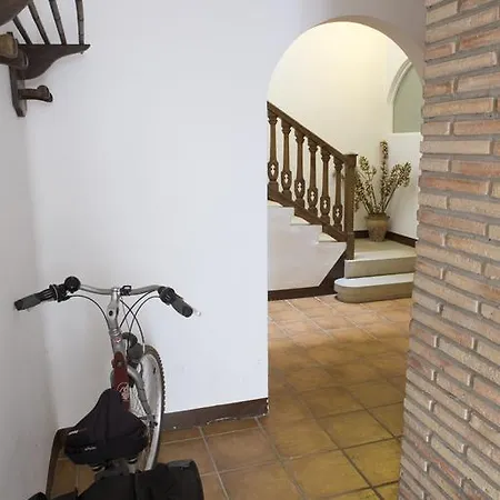 Appartement - Pintor Massanet